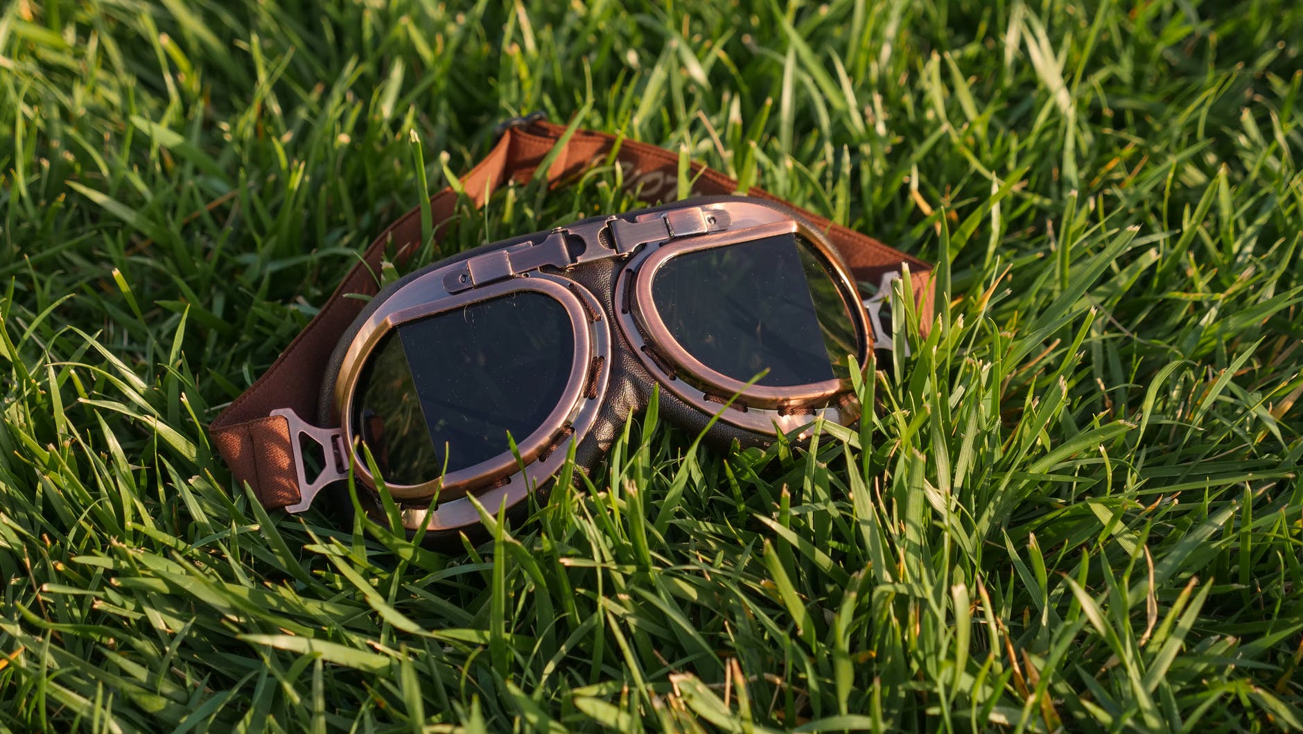 brown and black sunglasses on green grass